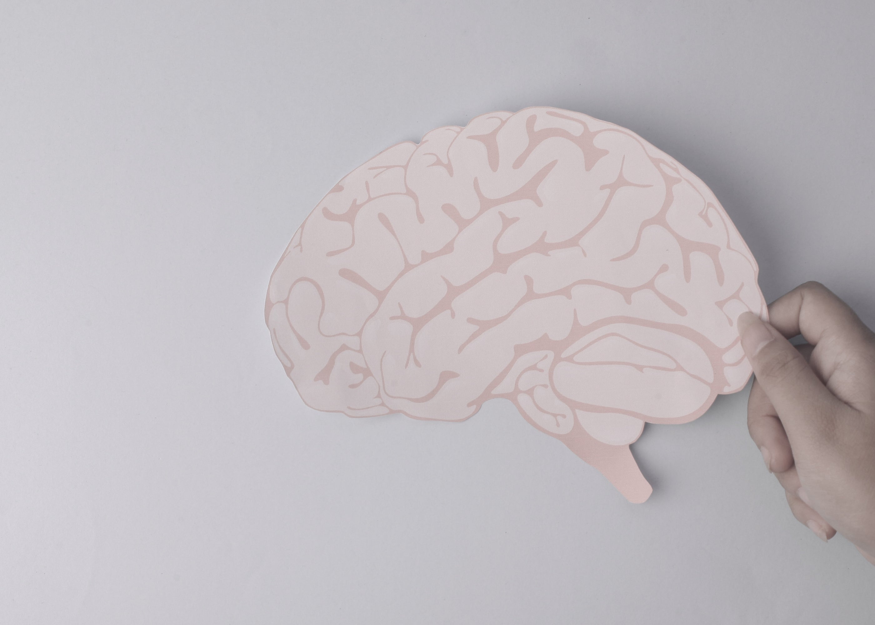 Choline and Brain Health: Why Alpha GPC Is the Smarter Source