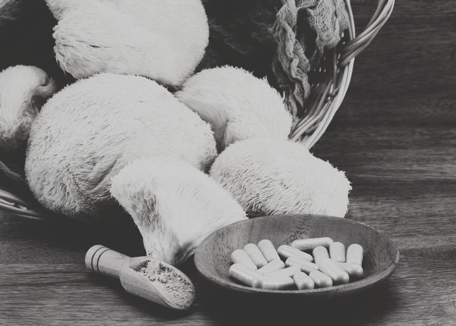 How Lion’s Mane Supports Memory - Focus - and Mental Clarity