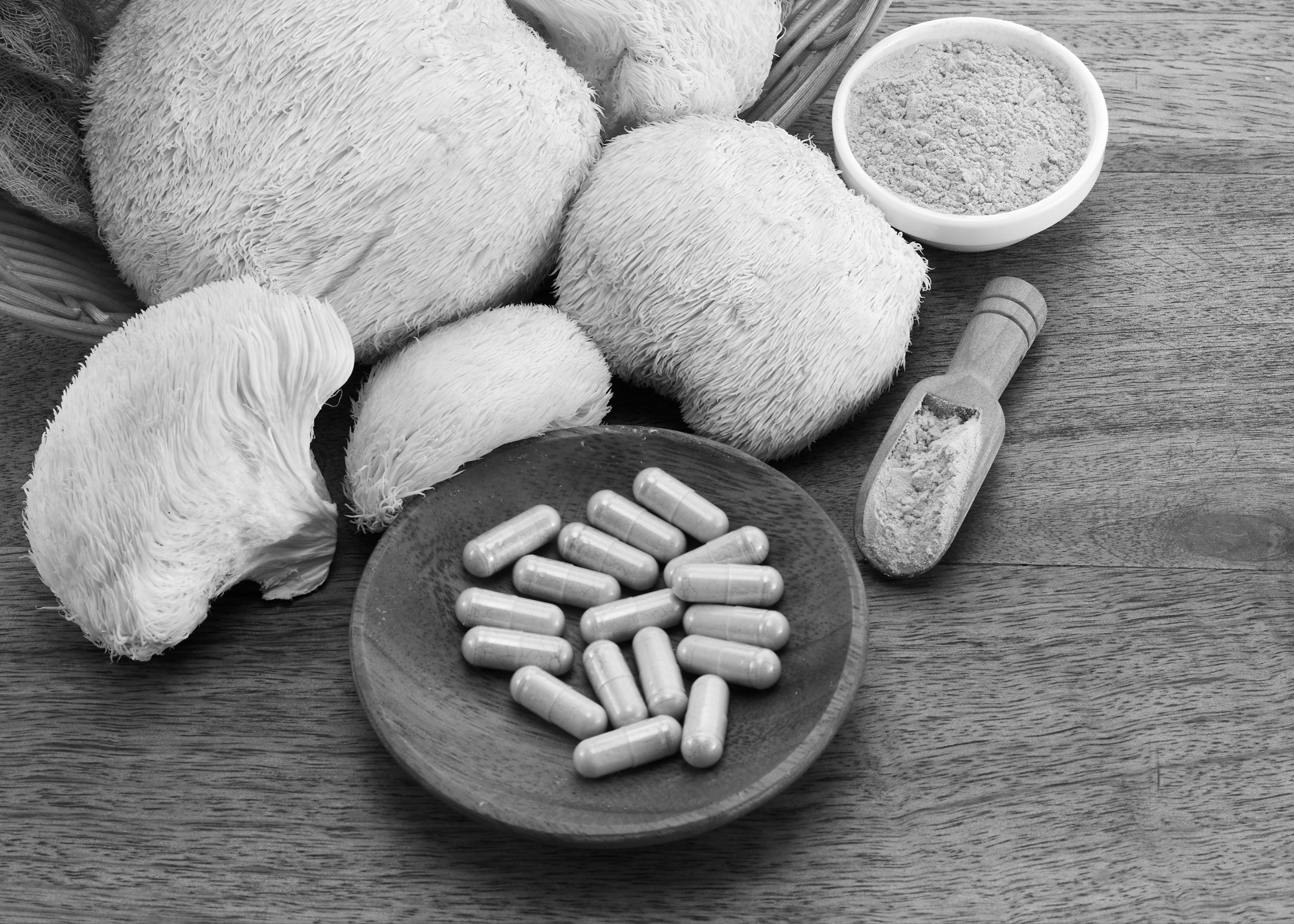 Lion's Mane and Nerve Growth Factor: What It Means for Your Brain