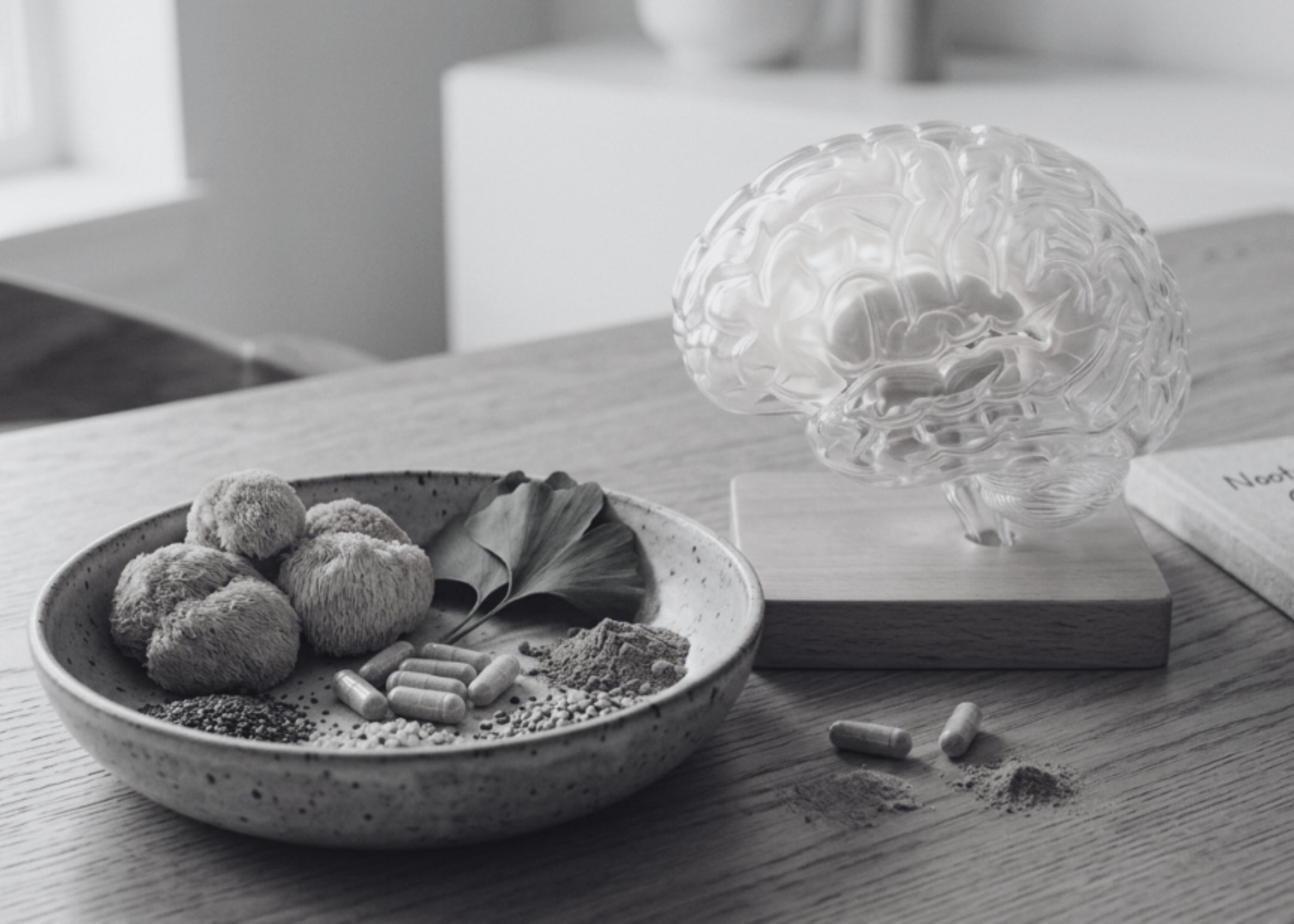 Natural Cognitive Enhancers vs. Prescription Nootropics: Which One Is Right for You?