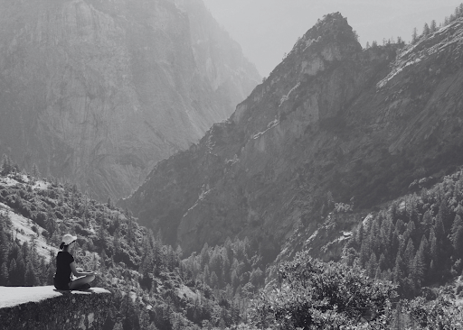 5 Adaptogenic Herbs (Ashwagandha, Bacopa) to Calm the ADHD Brain