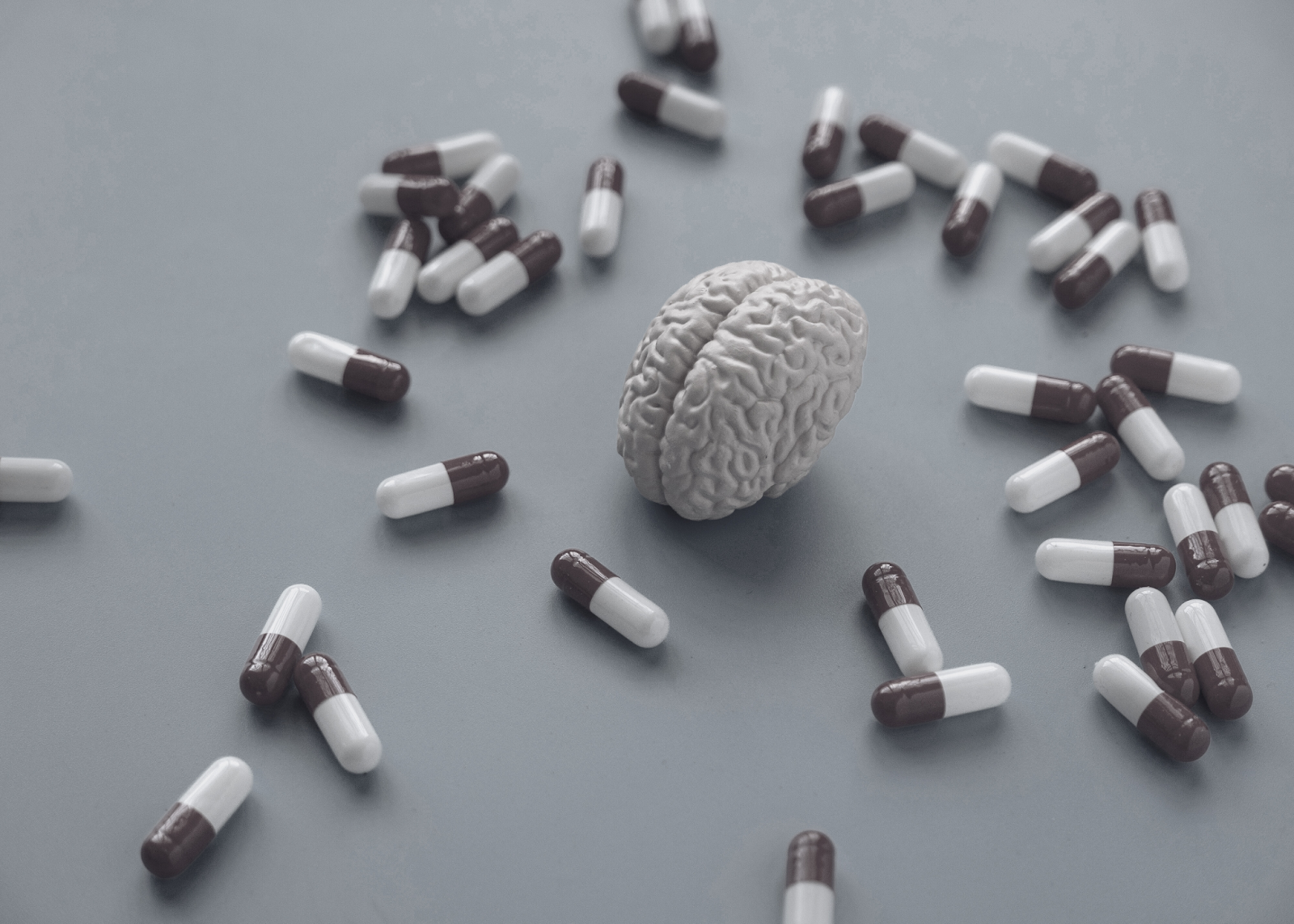 What is Huperzine A and Why It Is Popular in Nootropics