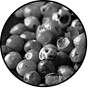 Guarana